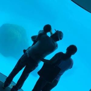 Meet your Posher, Sally